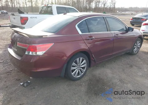 2011 Honda Accord 2.4 Ex-L из США, поврежденный, VIN 1HGCP2F83BA009341